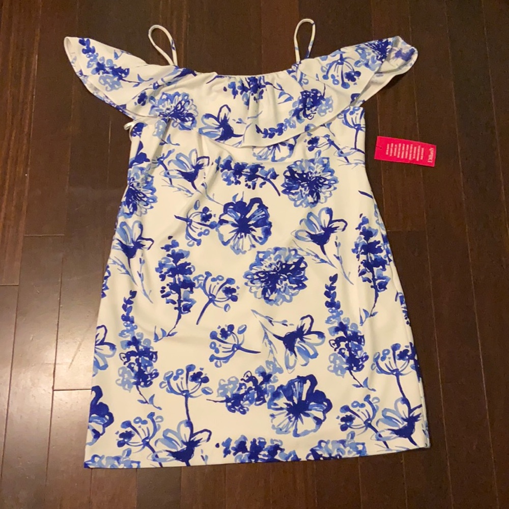 A never worn Beautiful Ralph Lauren dress.